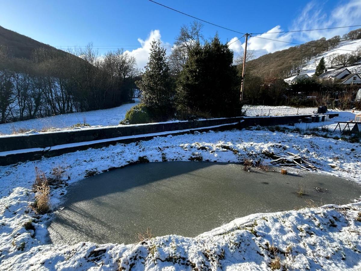 Y Felin Bed And Breakfast And Smallholding Caersws Εξωτερικό φωτογραφία